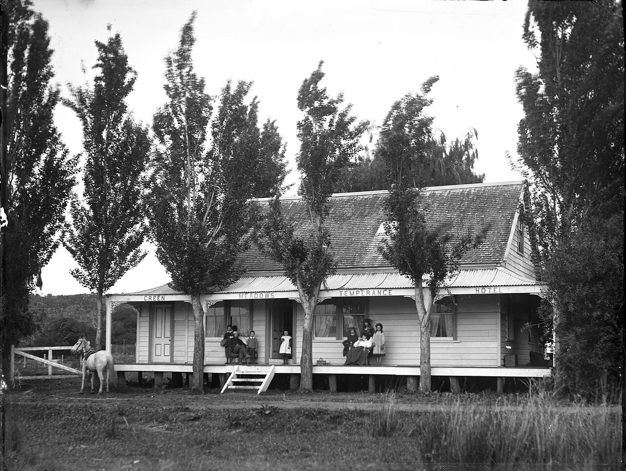 Photo of Green Meadows