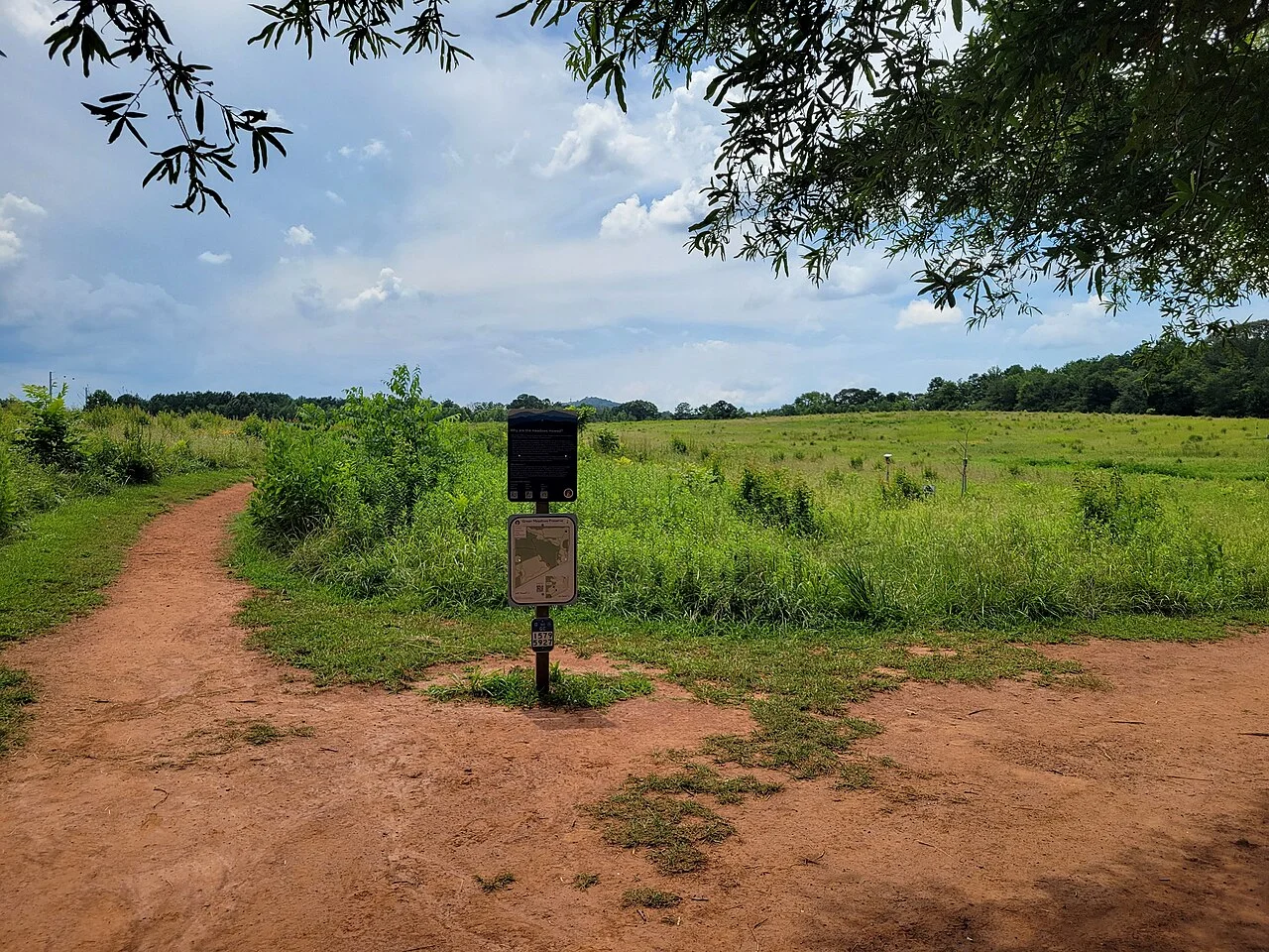 Photo of Green Meadows