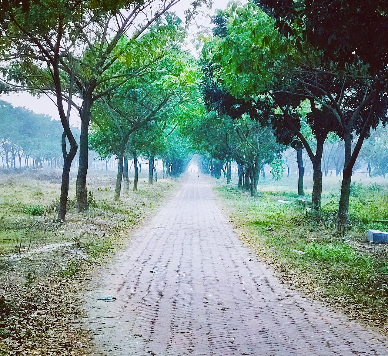 Photo of Green Model Town