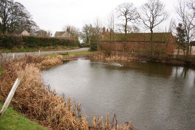 Greetham Pond Looking towards Black Horse Farm