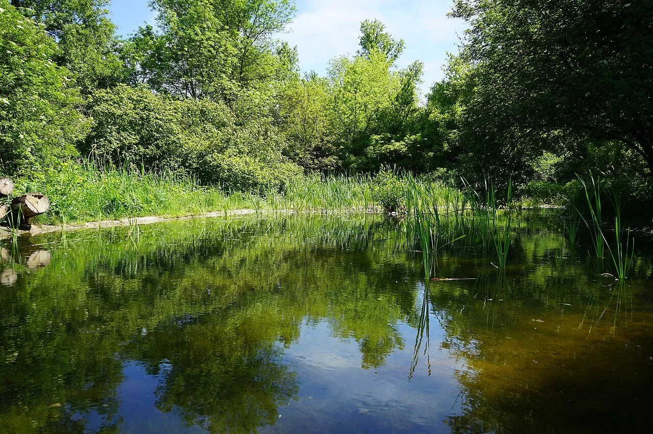 Photo of Grigny-sur-Rhône