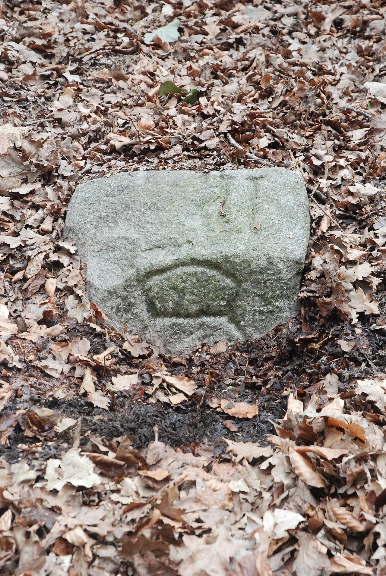 Photo of Groß Grönau