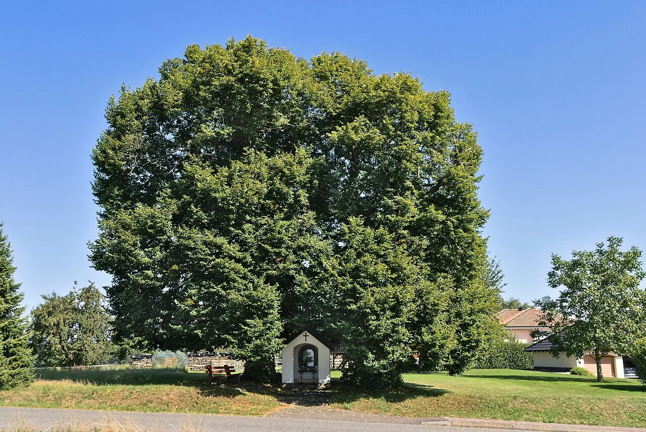 Photo of Großmaischeid