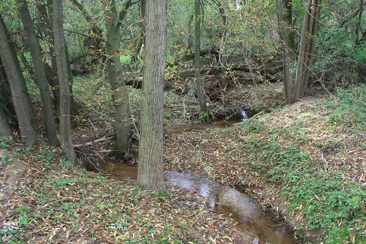 Photo of Großörner