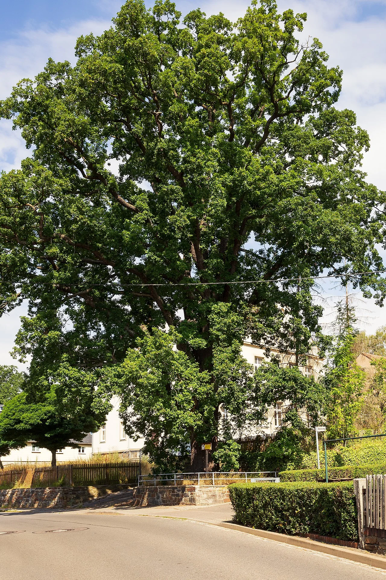 Photo of Großschirma