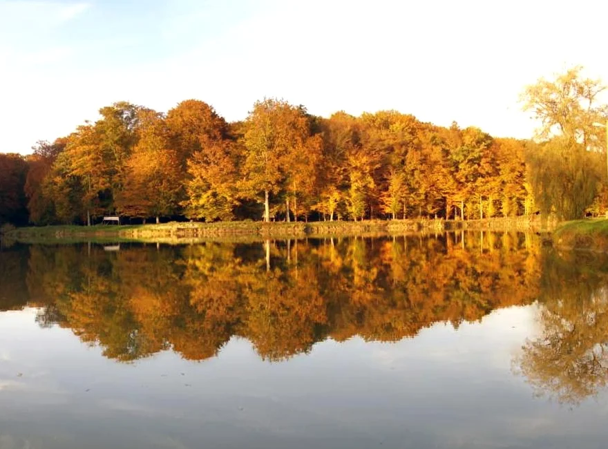 Photo of Grubišno Polje