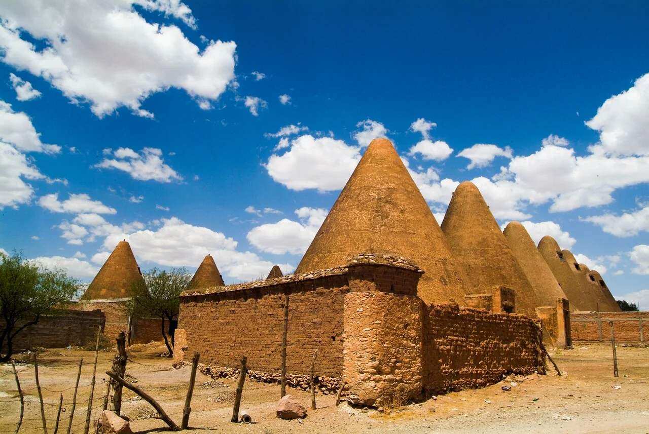 Photo of Guadalupe Calderón