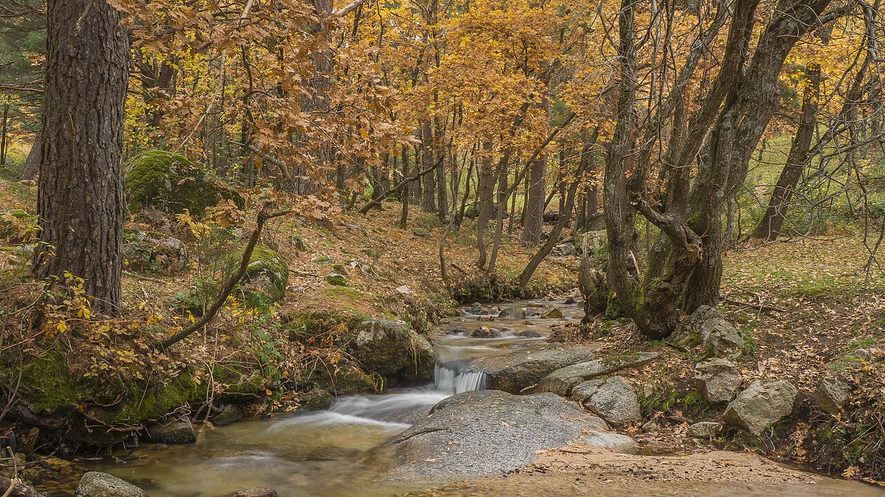 Sierra de Guadarrama, en España.