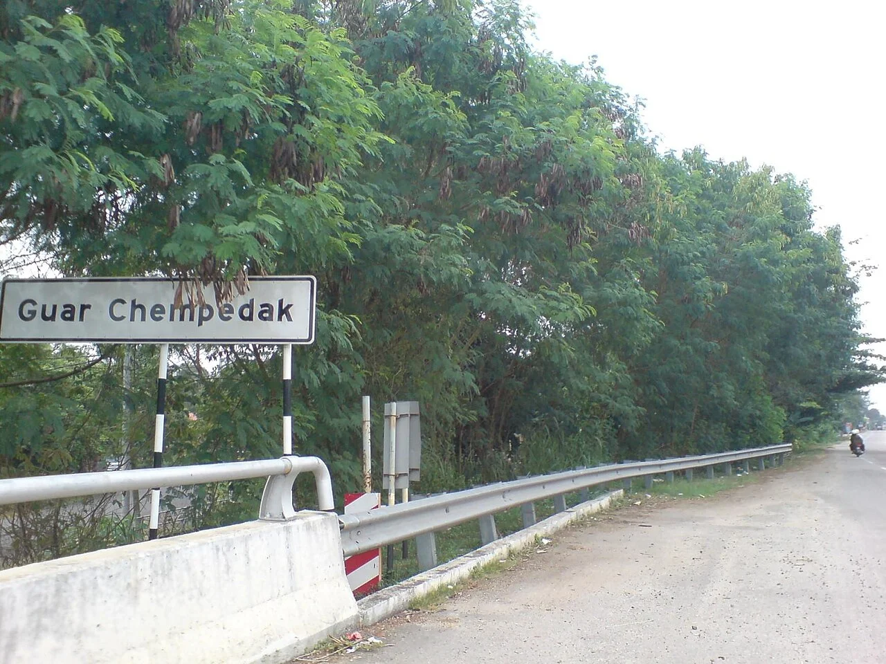 Photo of Guar Chempedak
