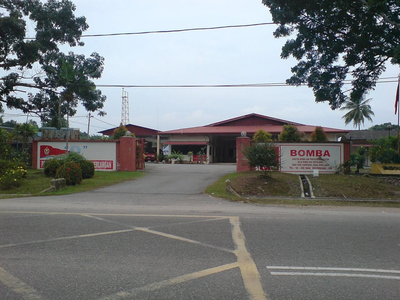 Photo of Guar Chempedak