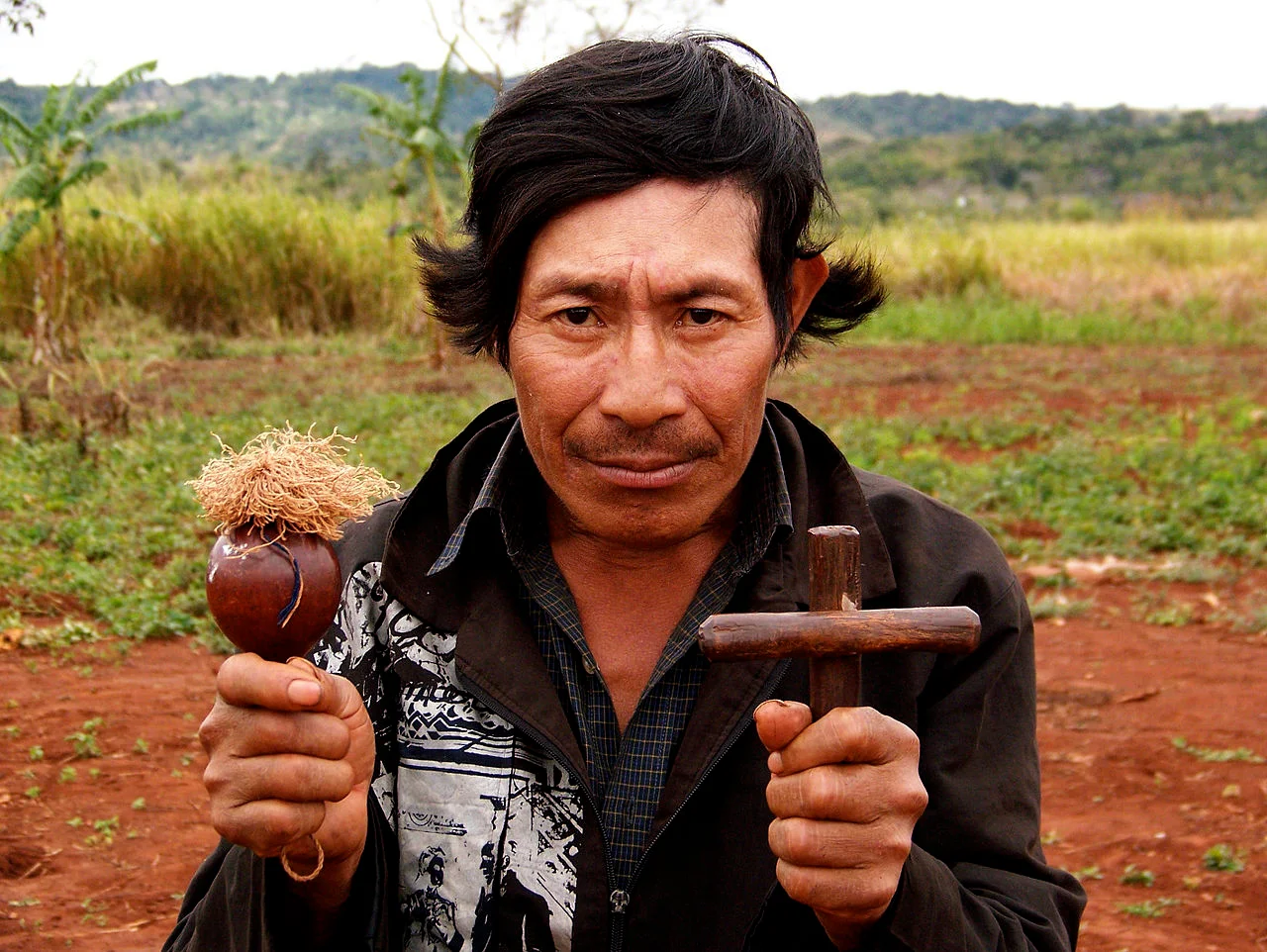 Photo of Guarani