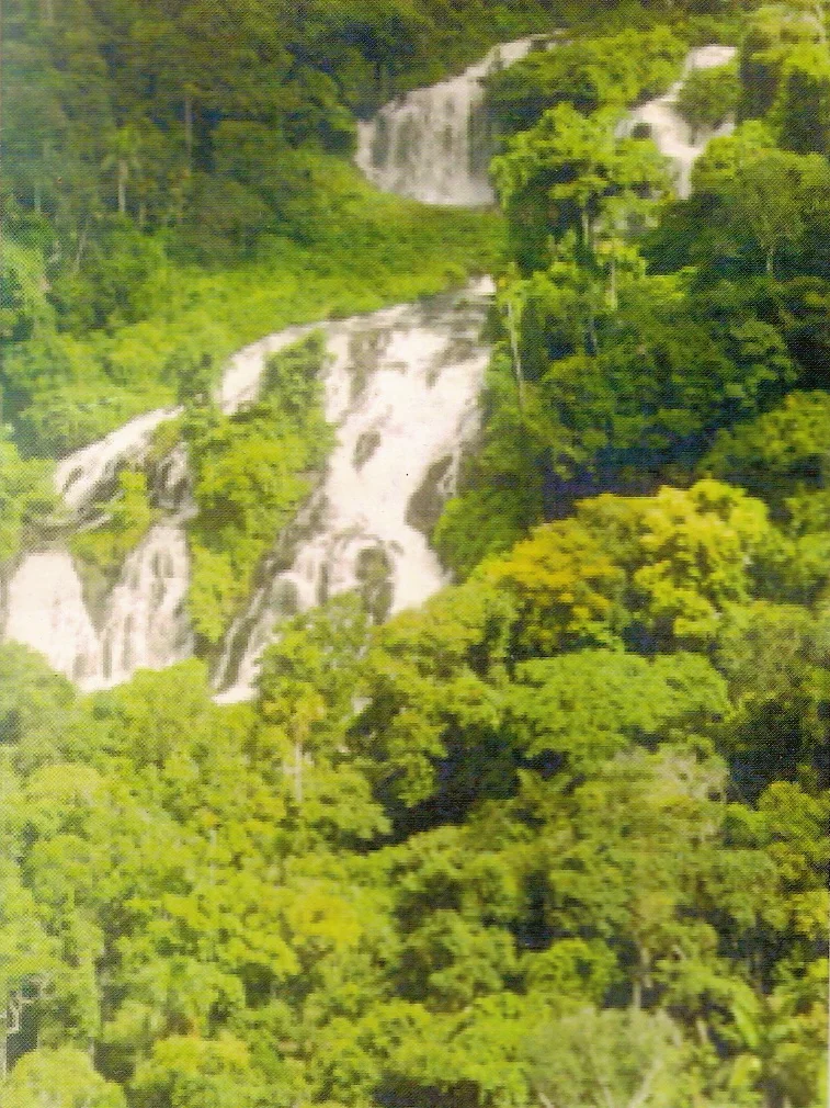 Photo of Guarantã do Norte