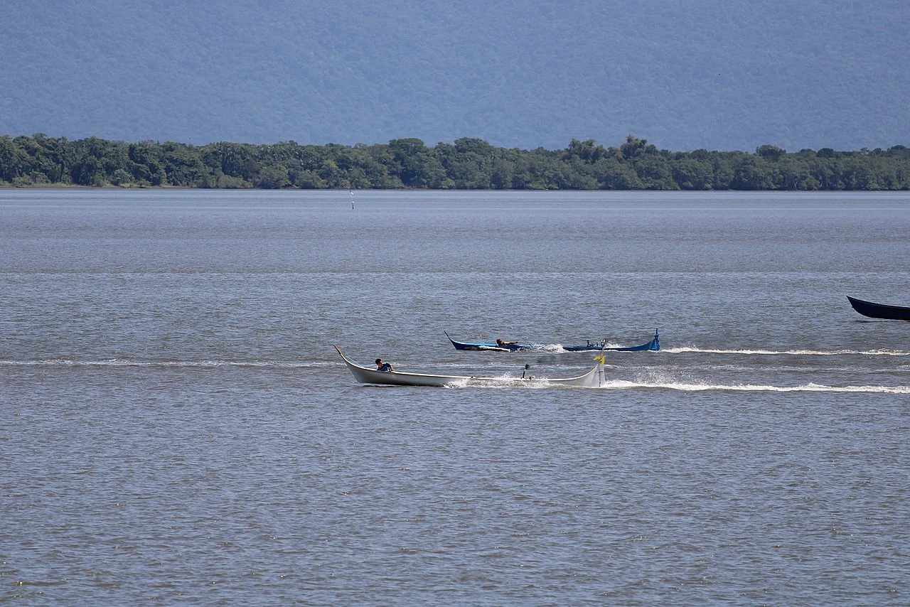 Photo of Guaraqueçaba