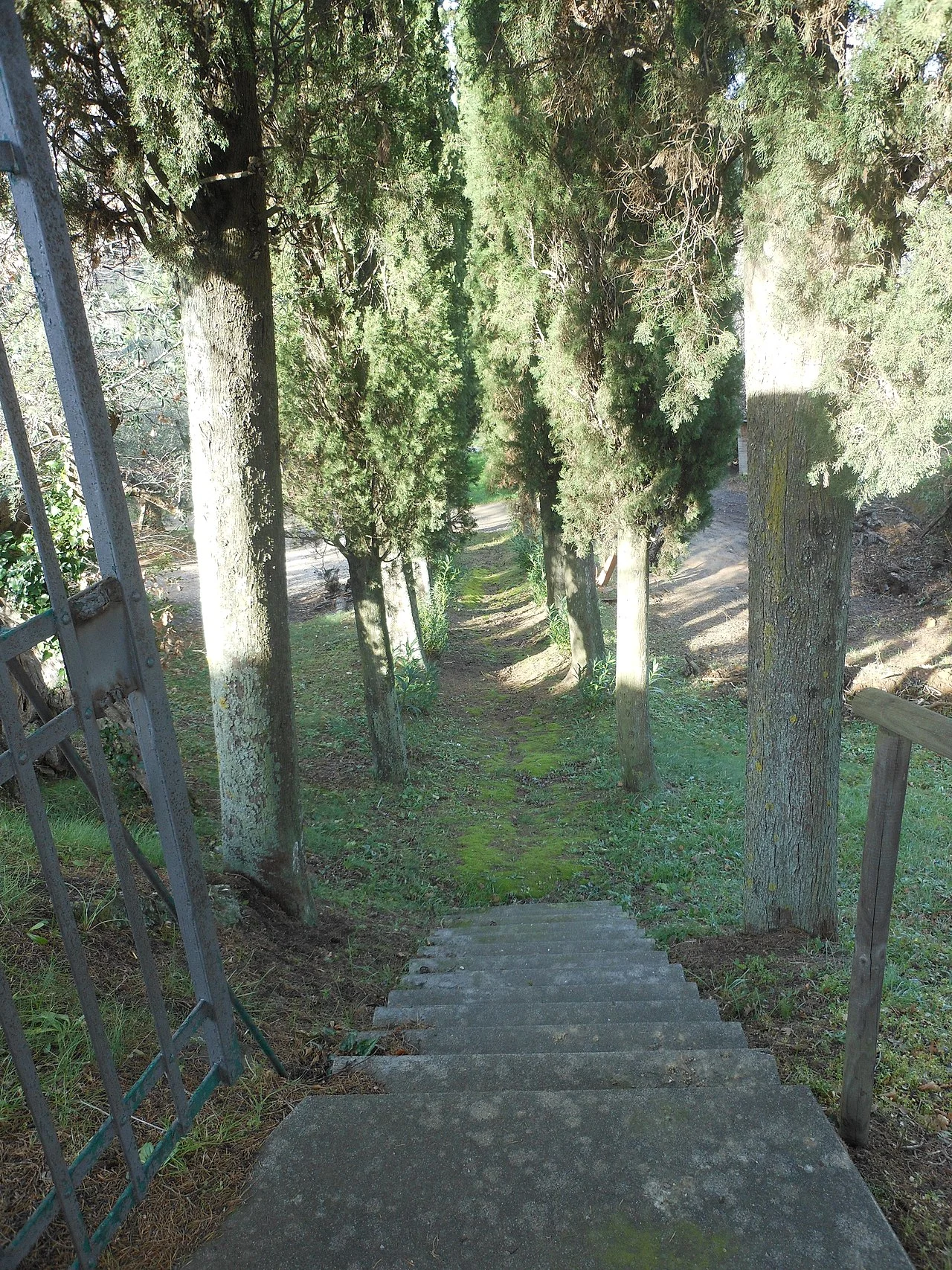 Photo of Guardistallo