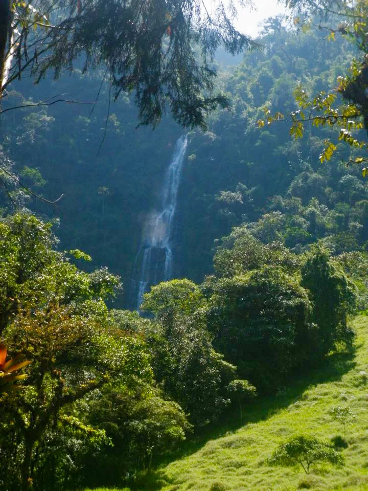 Photo of Guayquichuma