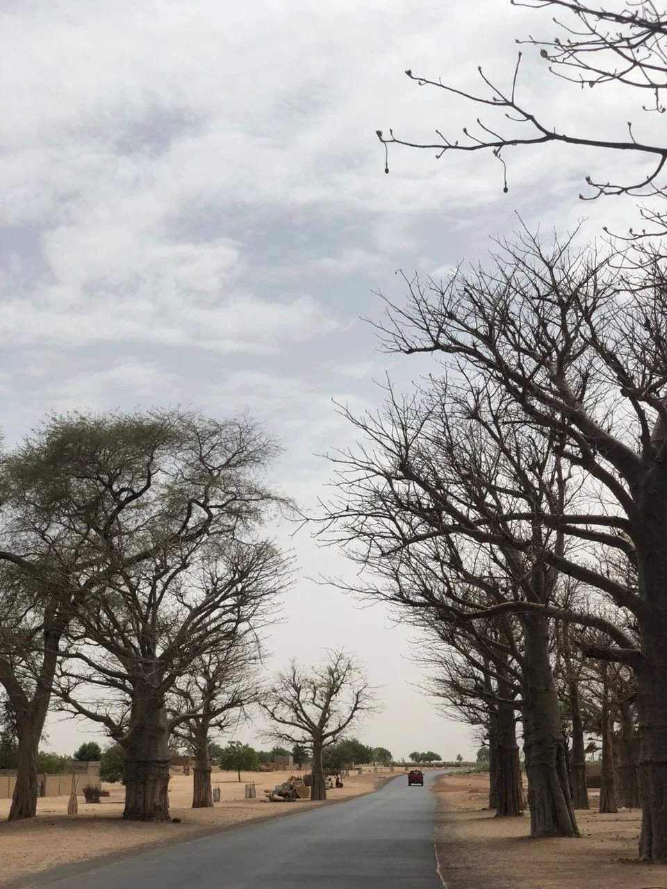 Photo of Guinguinéo