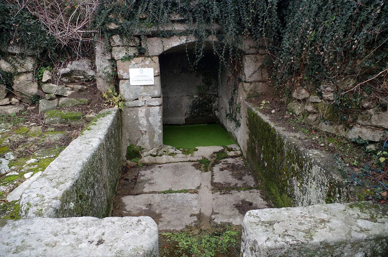 Photo of Gulpilhares