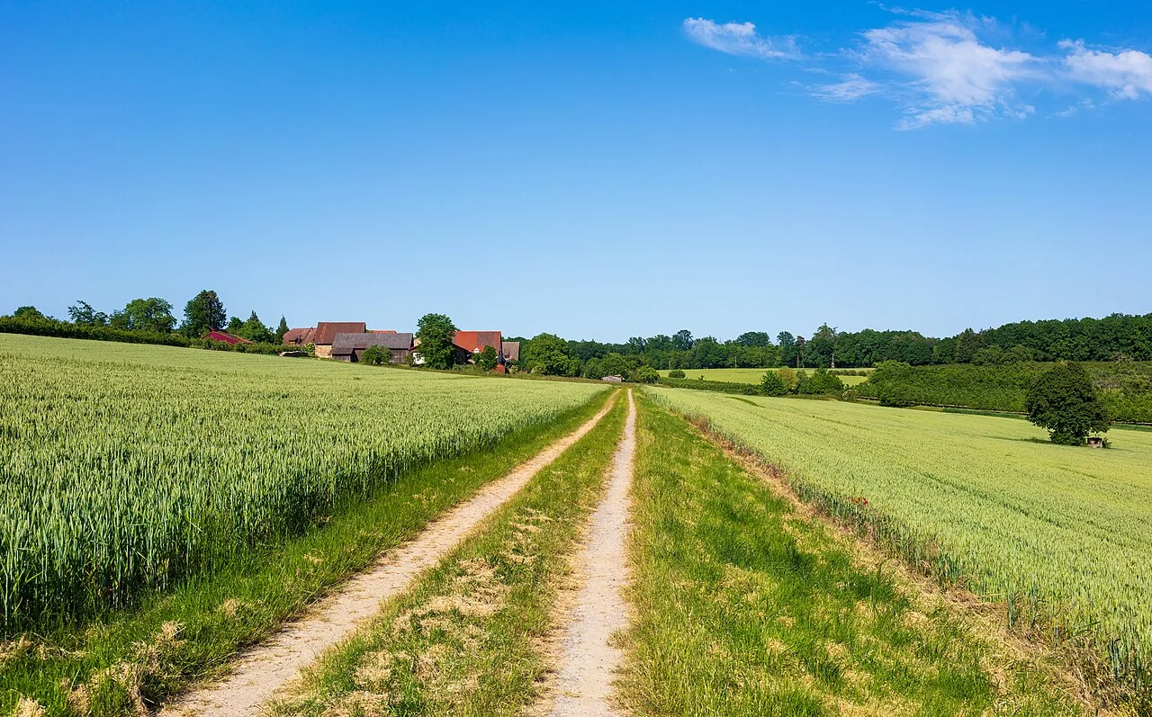 Photo of Gundelsheim