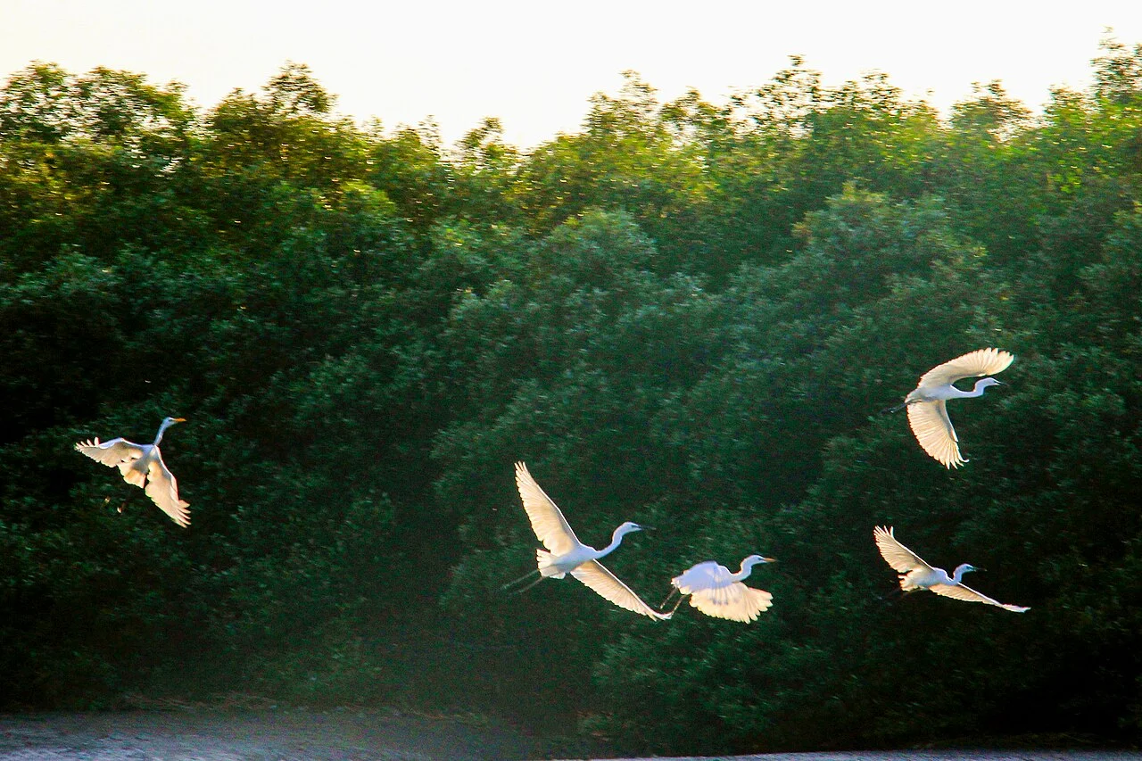 Photo of Gununganyar