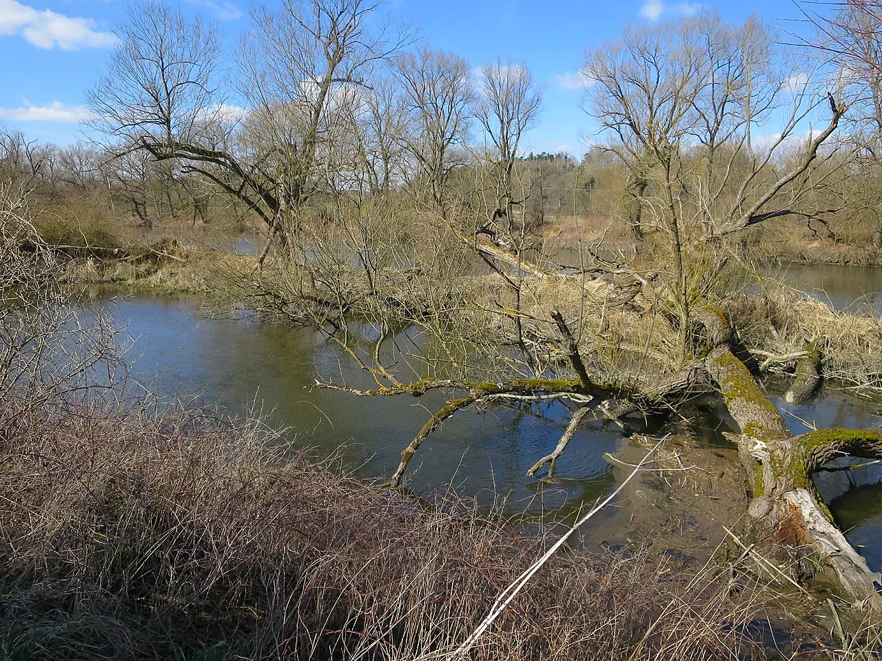 Photo of Haag an der Amper