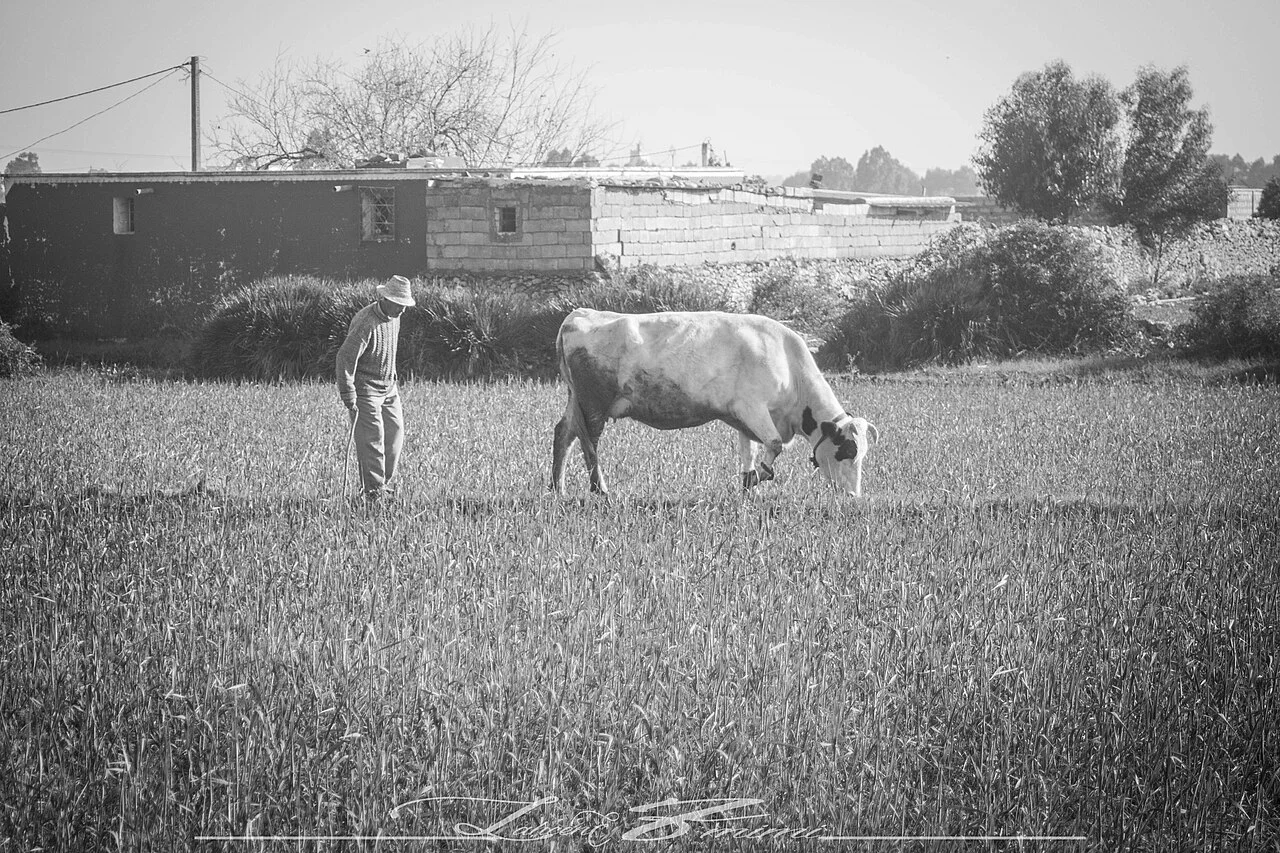 Photo of Had Soualem