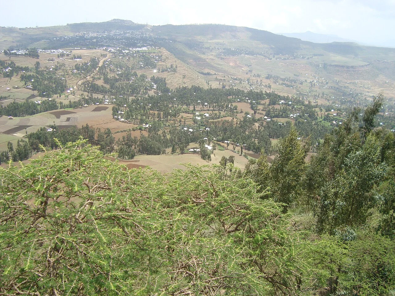 Photo of Hāgere Selam