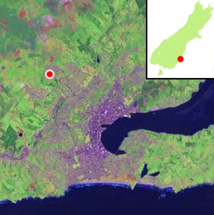 Photo of Halfway Bush