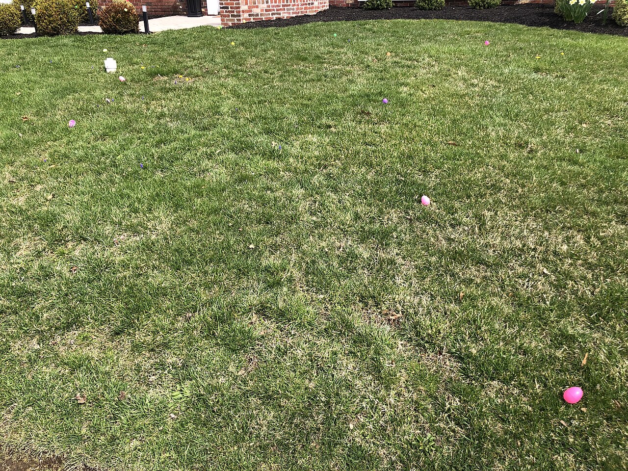 Plastic Easter eggs scattered in a lawn along Texas Avenue in the Hamilton Square section of Hamilton Township, Mercer County, New Jersey