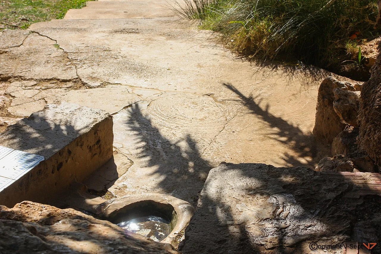 Photo of Hammam Bou Hadjar