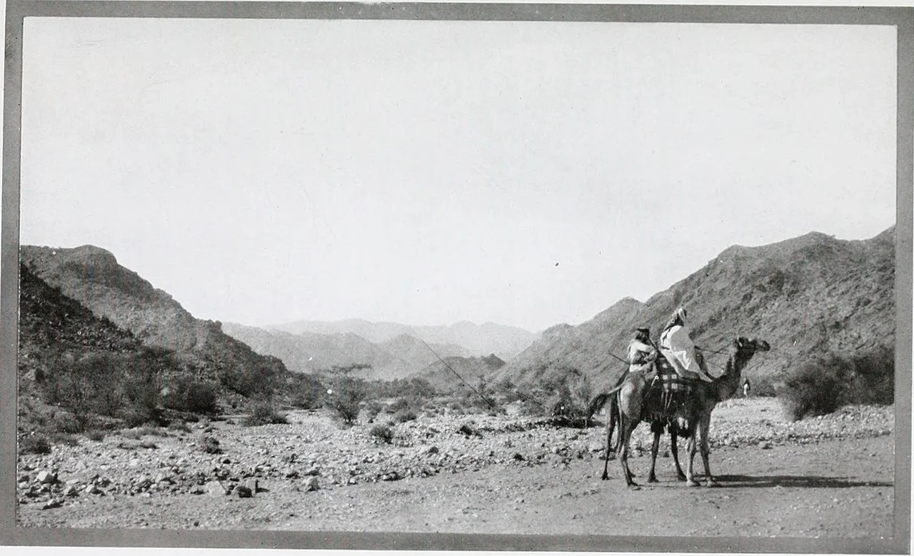 Photo of Ḩammām Damt