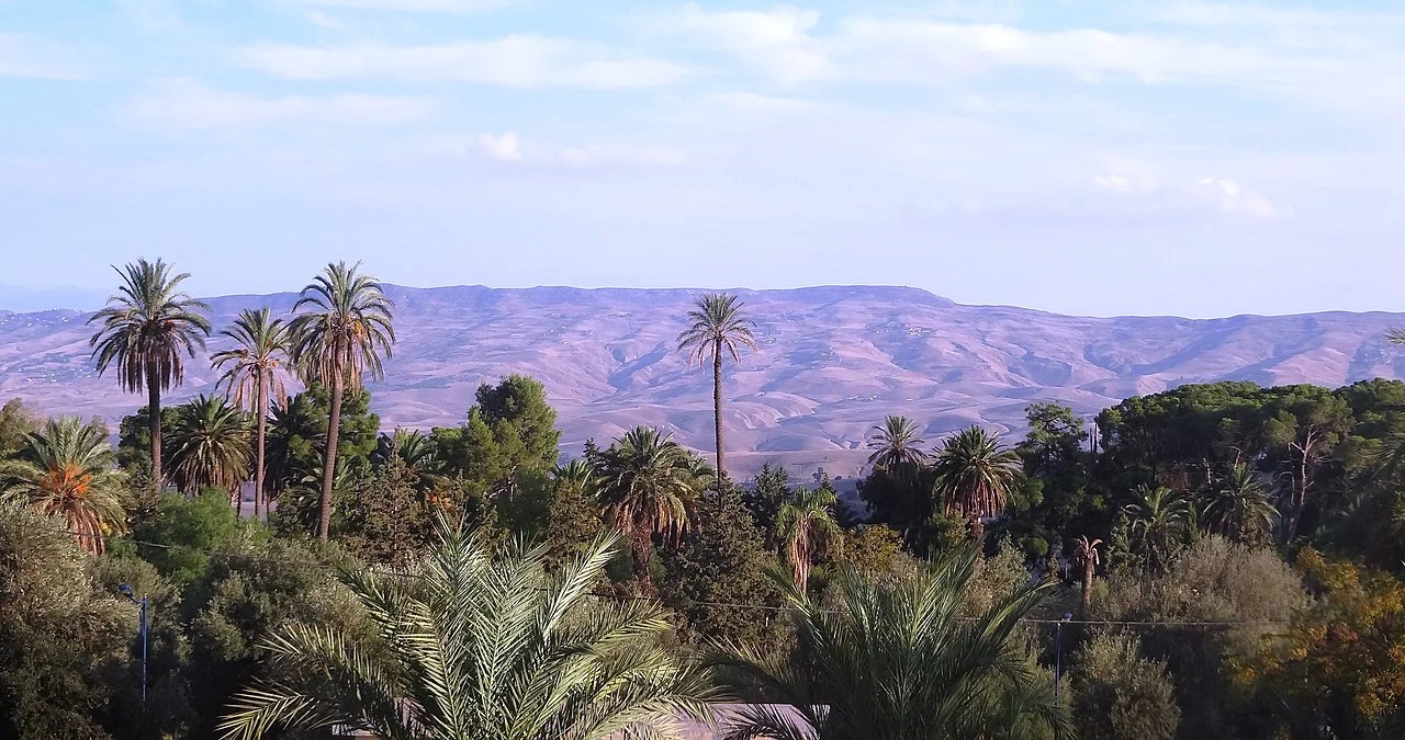 Photo of Hammam Righa