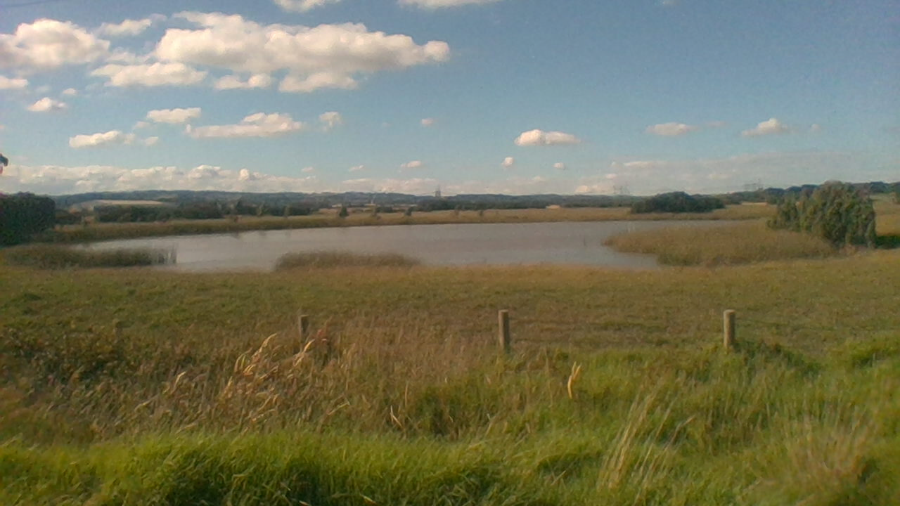 A sign next to this photo was titled "Troupes Creek Wetlands". Taken in Victoria, Australia, in Hampton Park, near Hallam.