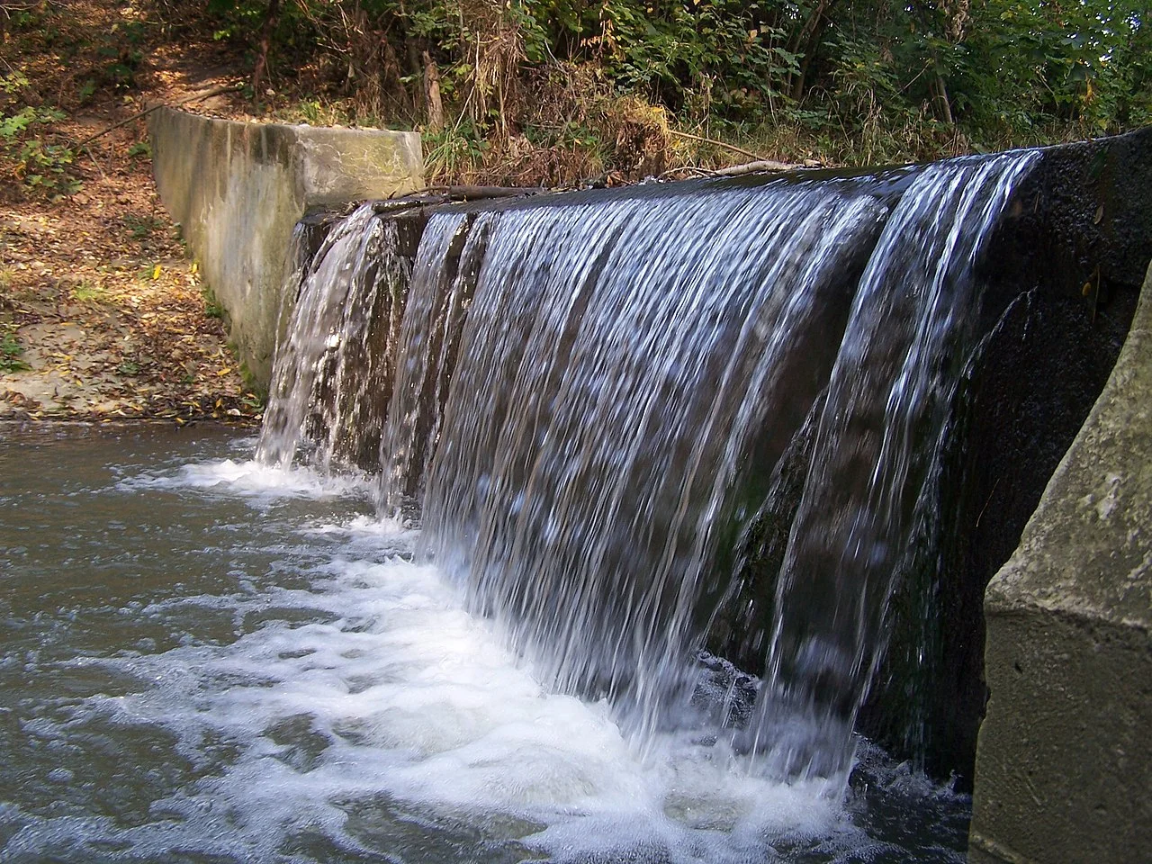 Photo of Handzlówka