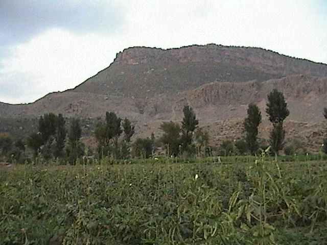 Photo of Hangu