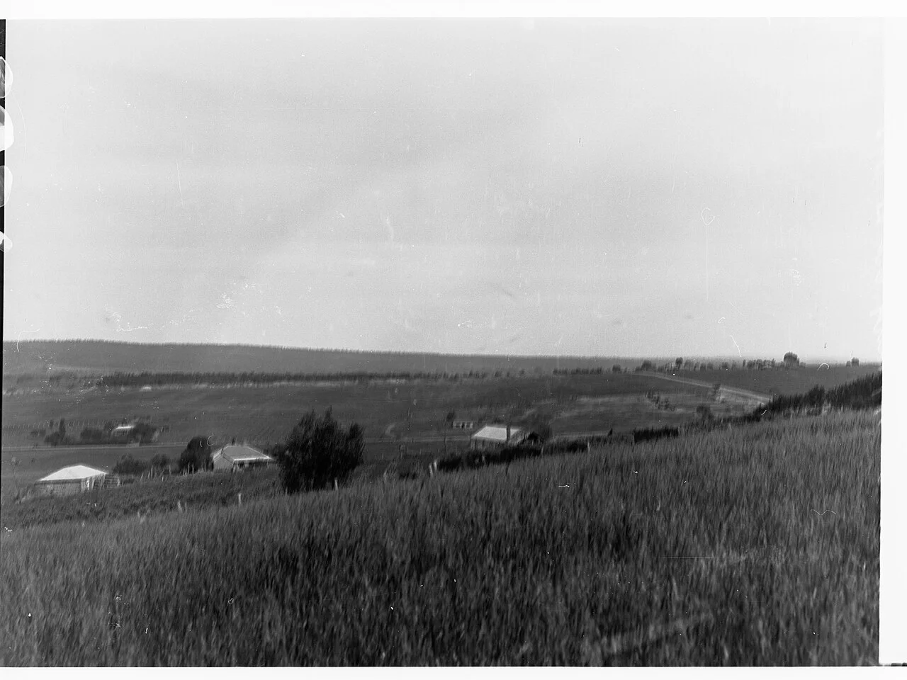 Photo of Happy Valley