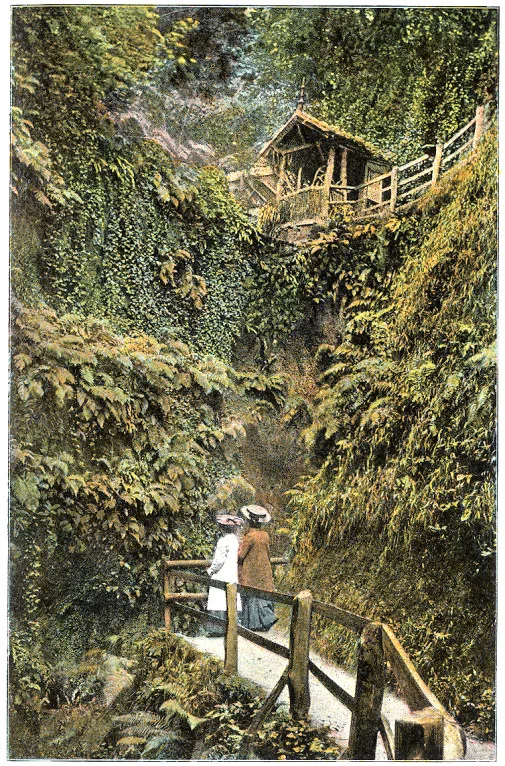 Photo of Harbour Chines