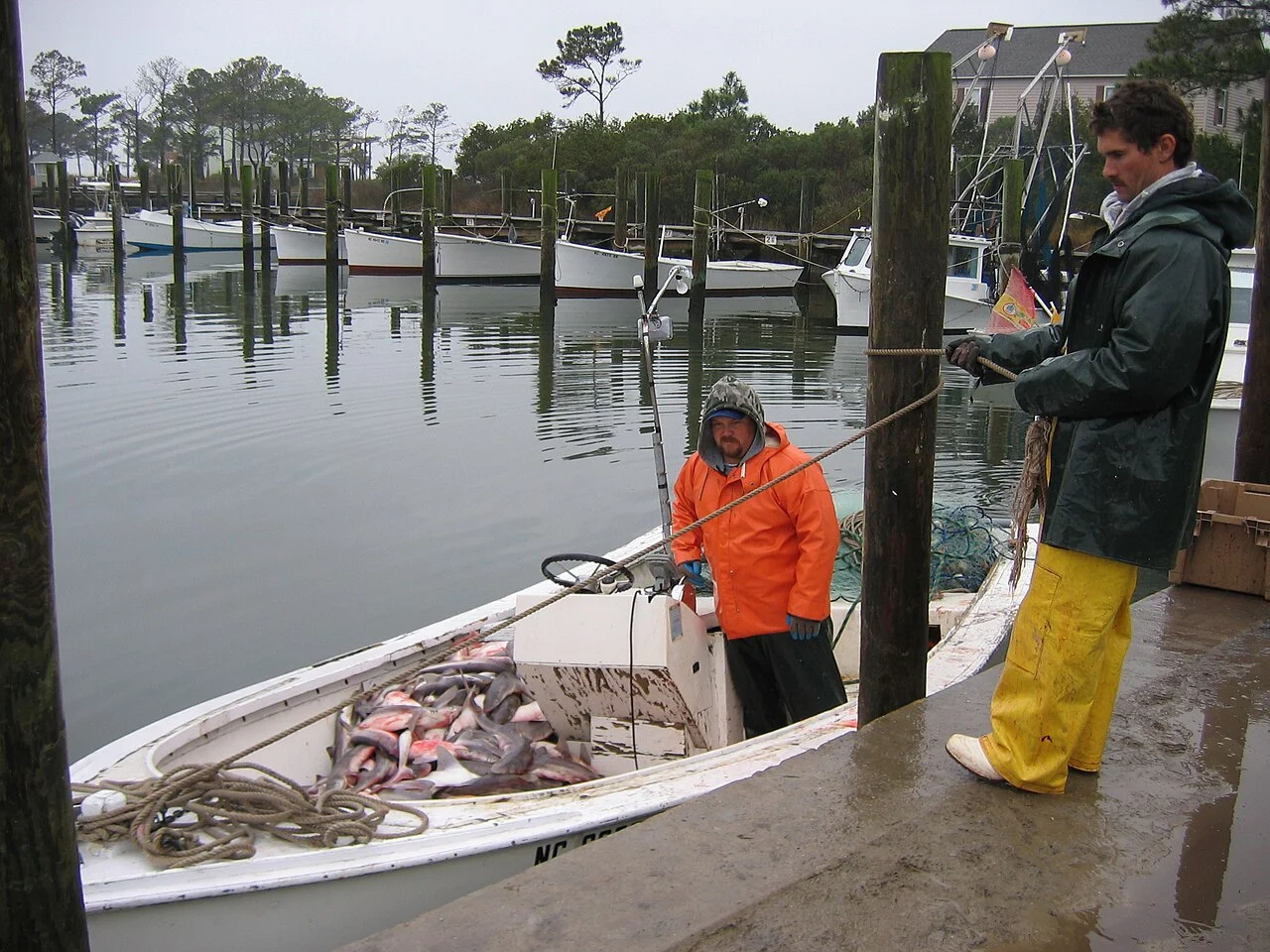 Photo of Harkers Island