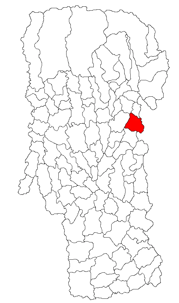 Photo of Hârtieşti