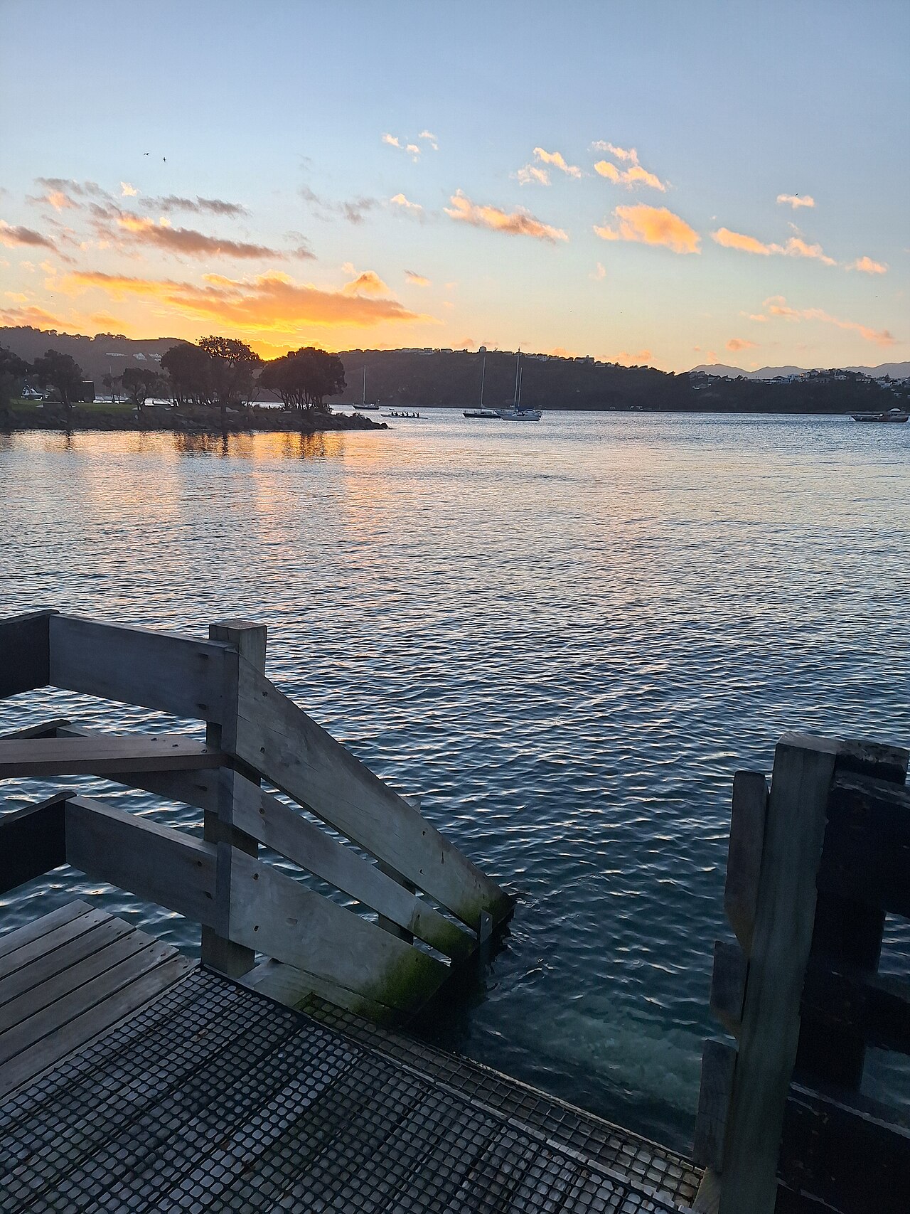 Hataitai beach stairs, Wellington, New Zealand one September morning