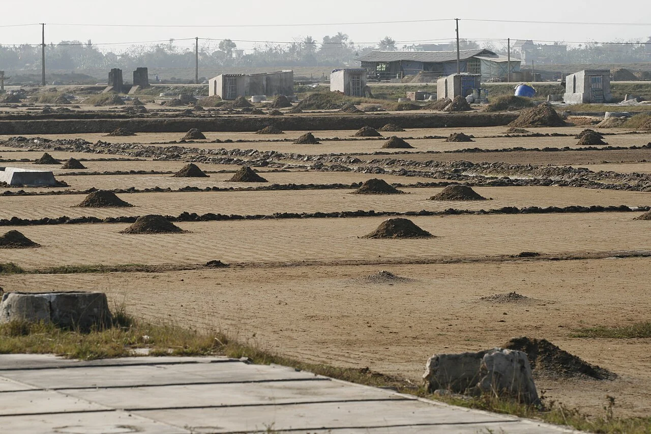 Photo of Hậu Lộc