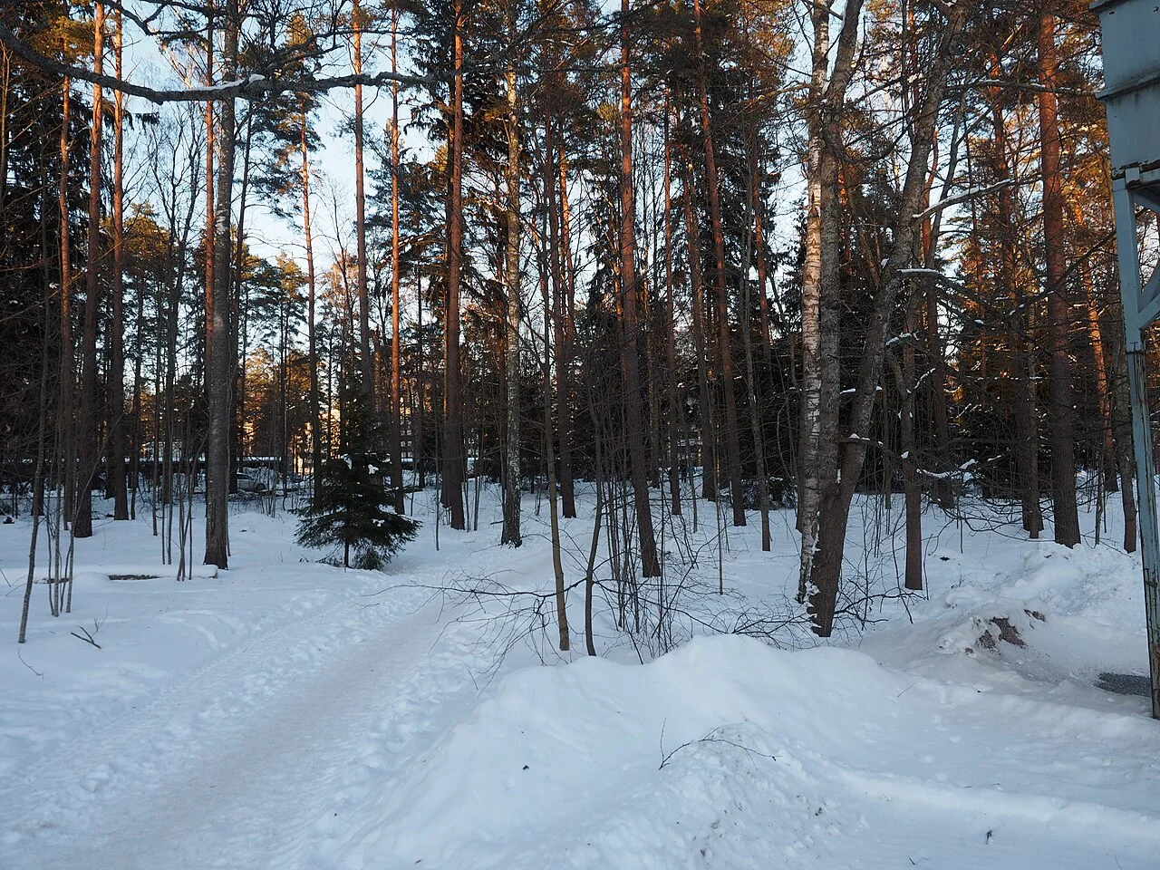 Photo of Haukilahti