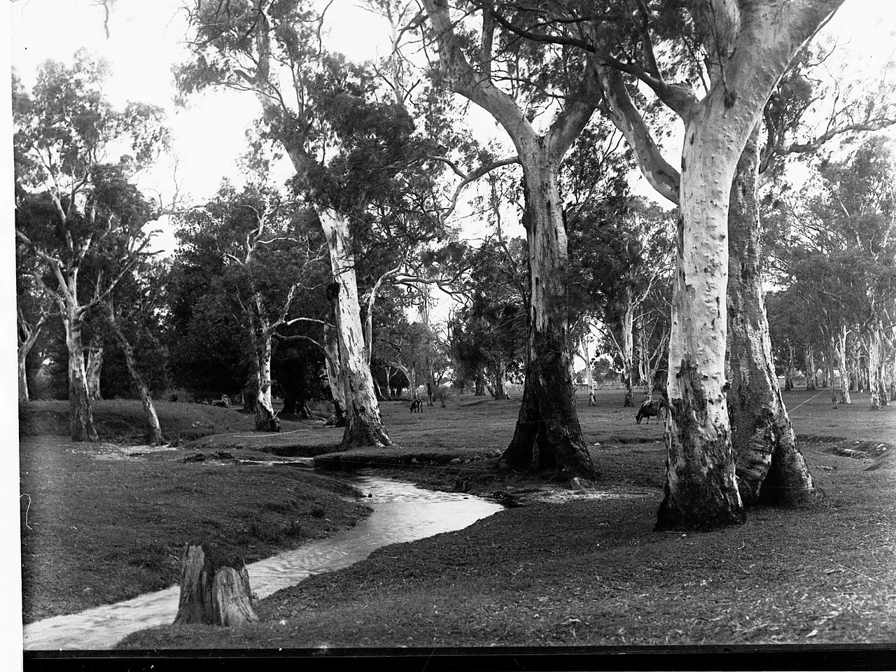 Photo of Hazelwood Park