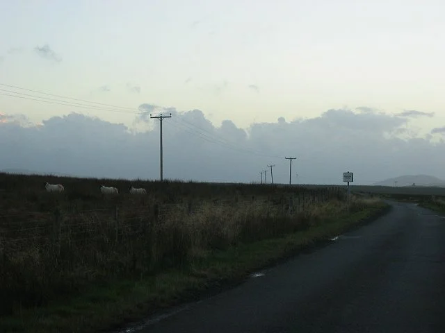 Photo of Head of Muir