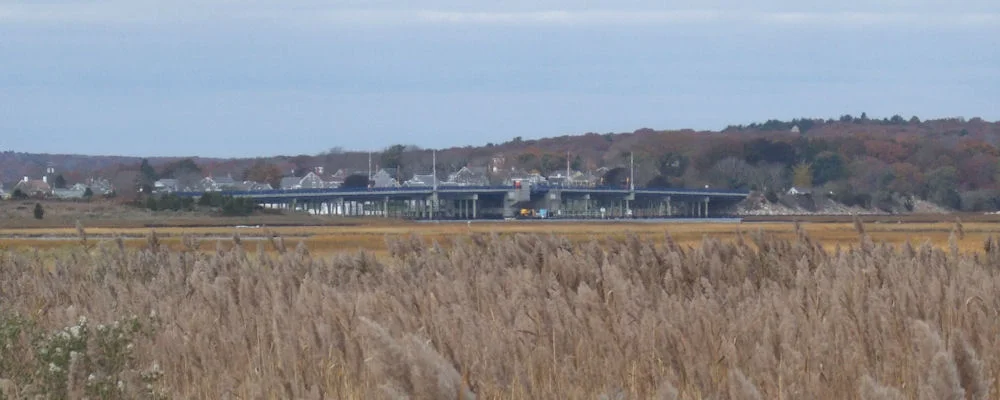 Photo of Head of Westport