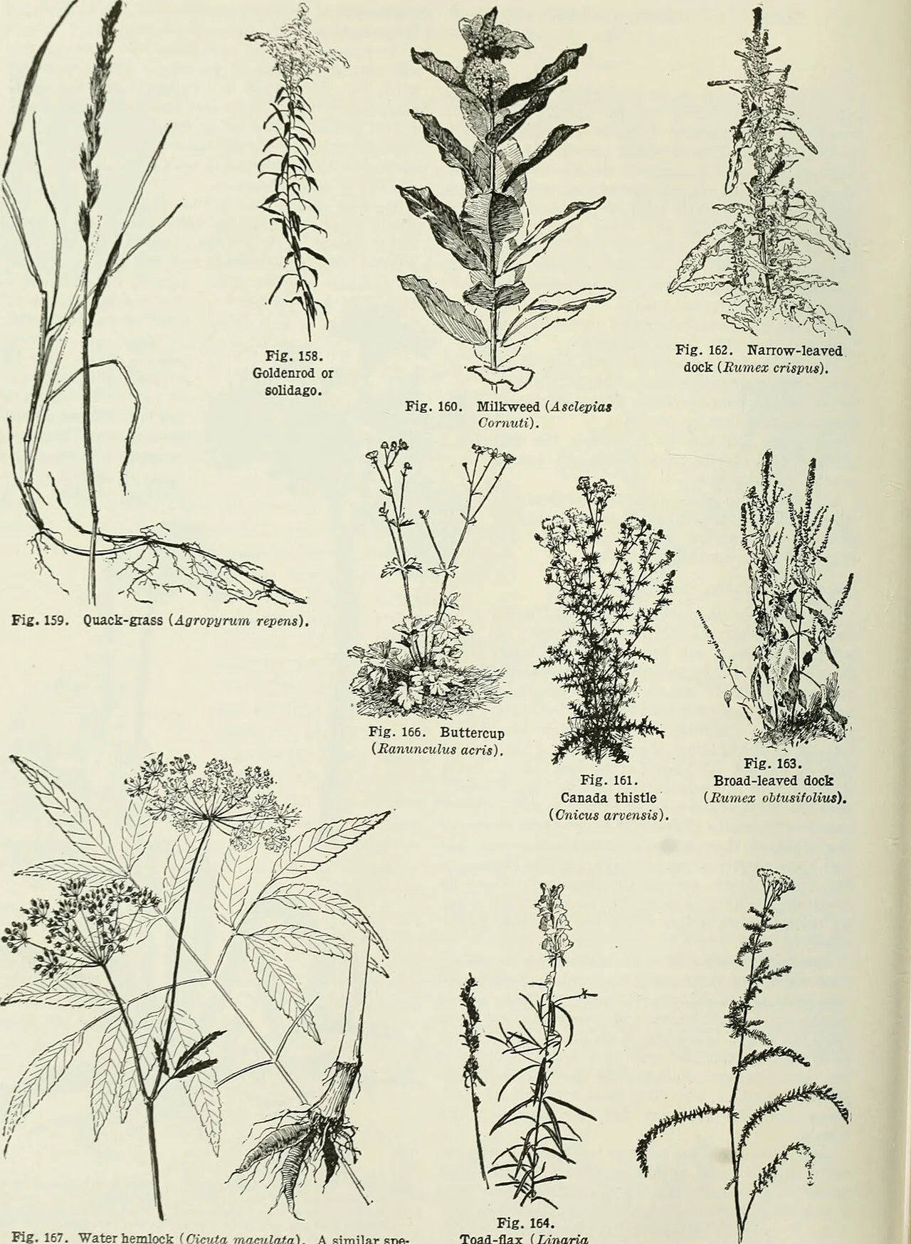 Photo of Hemlock Farms