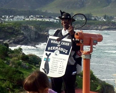 Photo of Hermanus