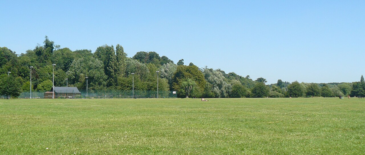 Hartham Common, July 08
