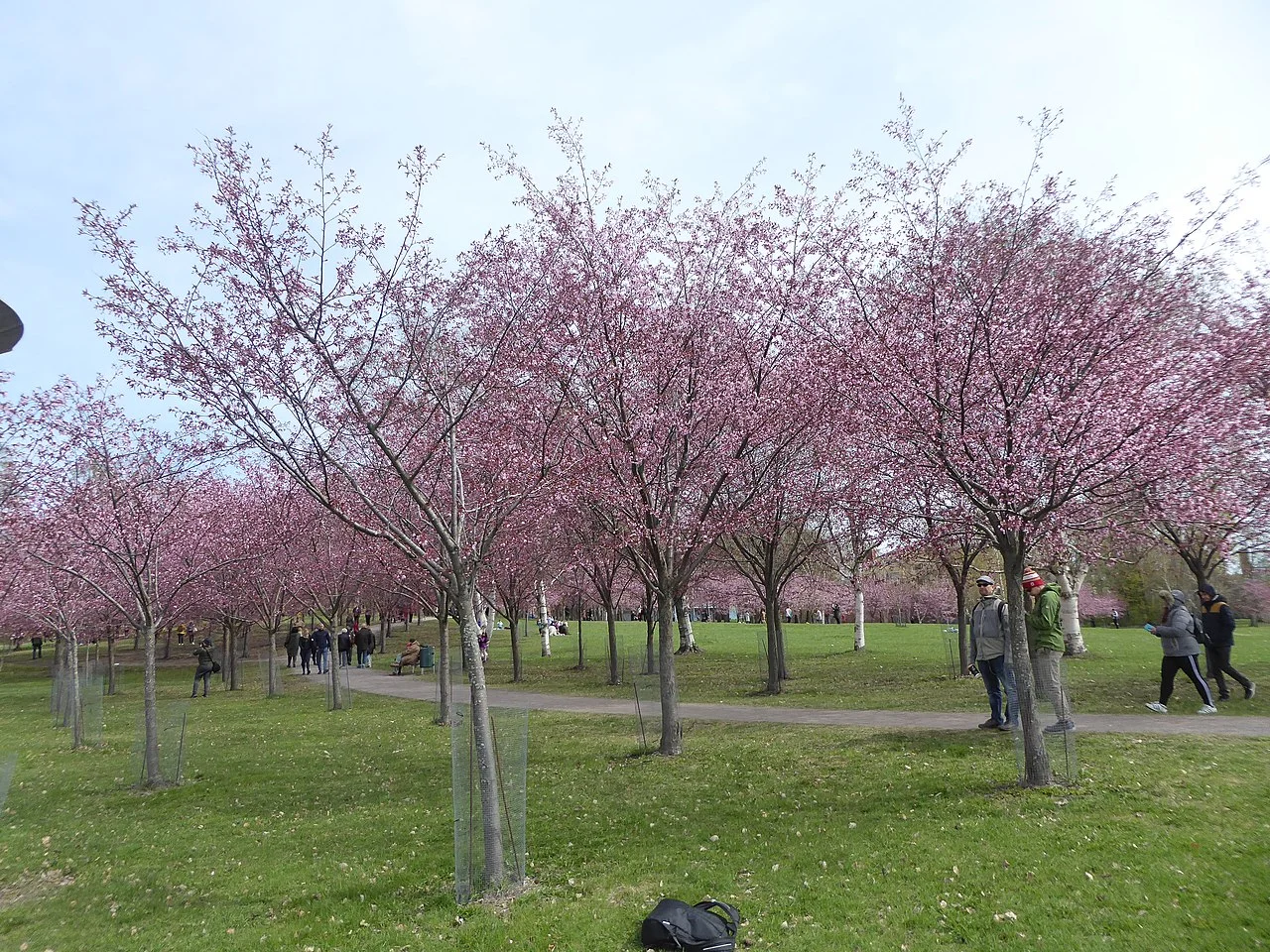 Photo of Herttoniemi