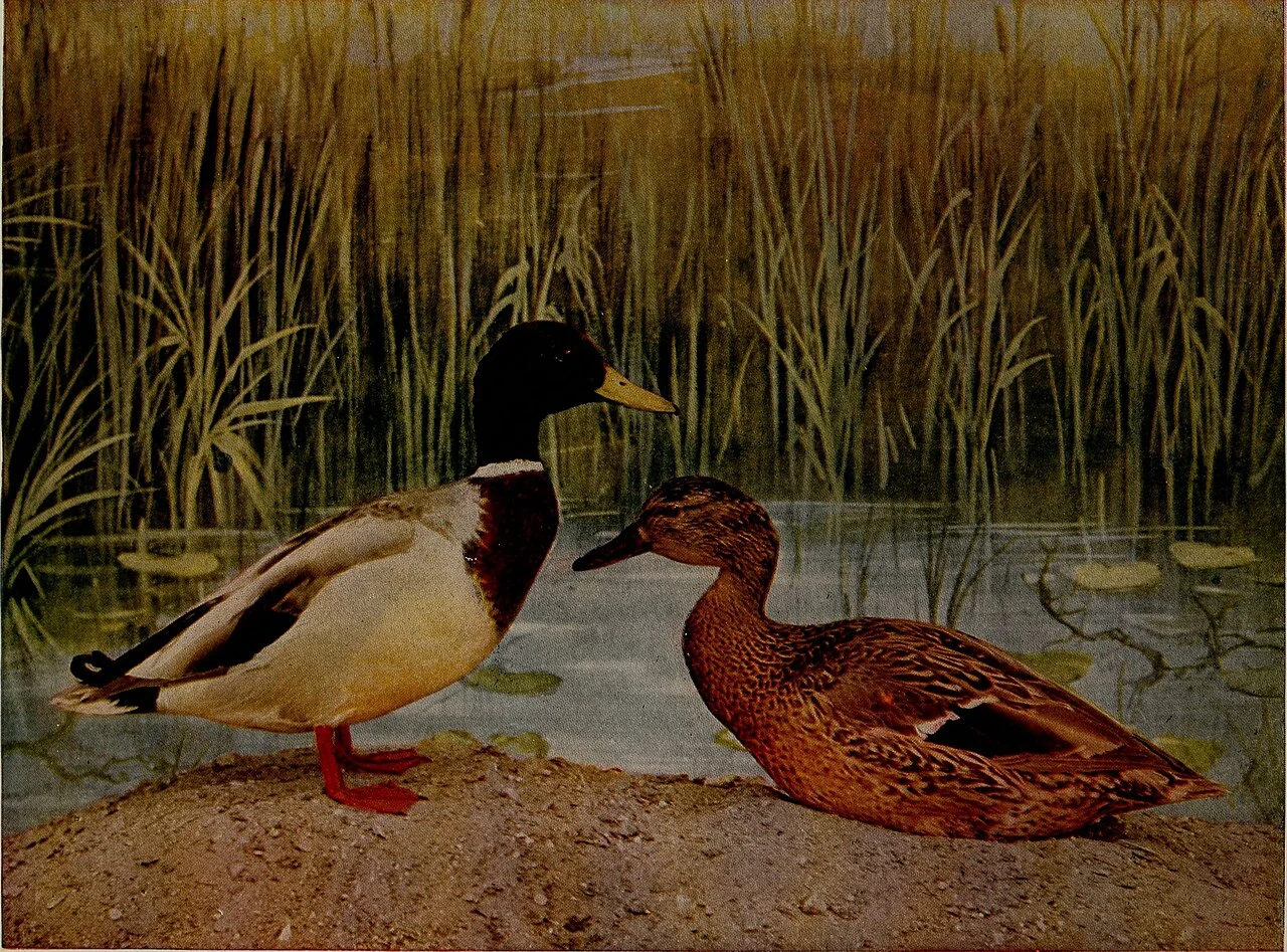 Photo of Hide-A-Way Lake