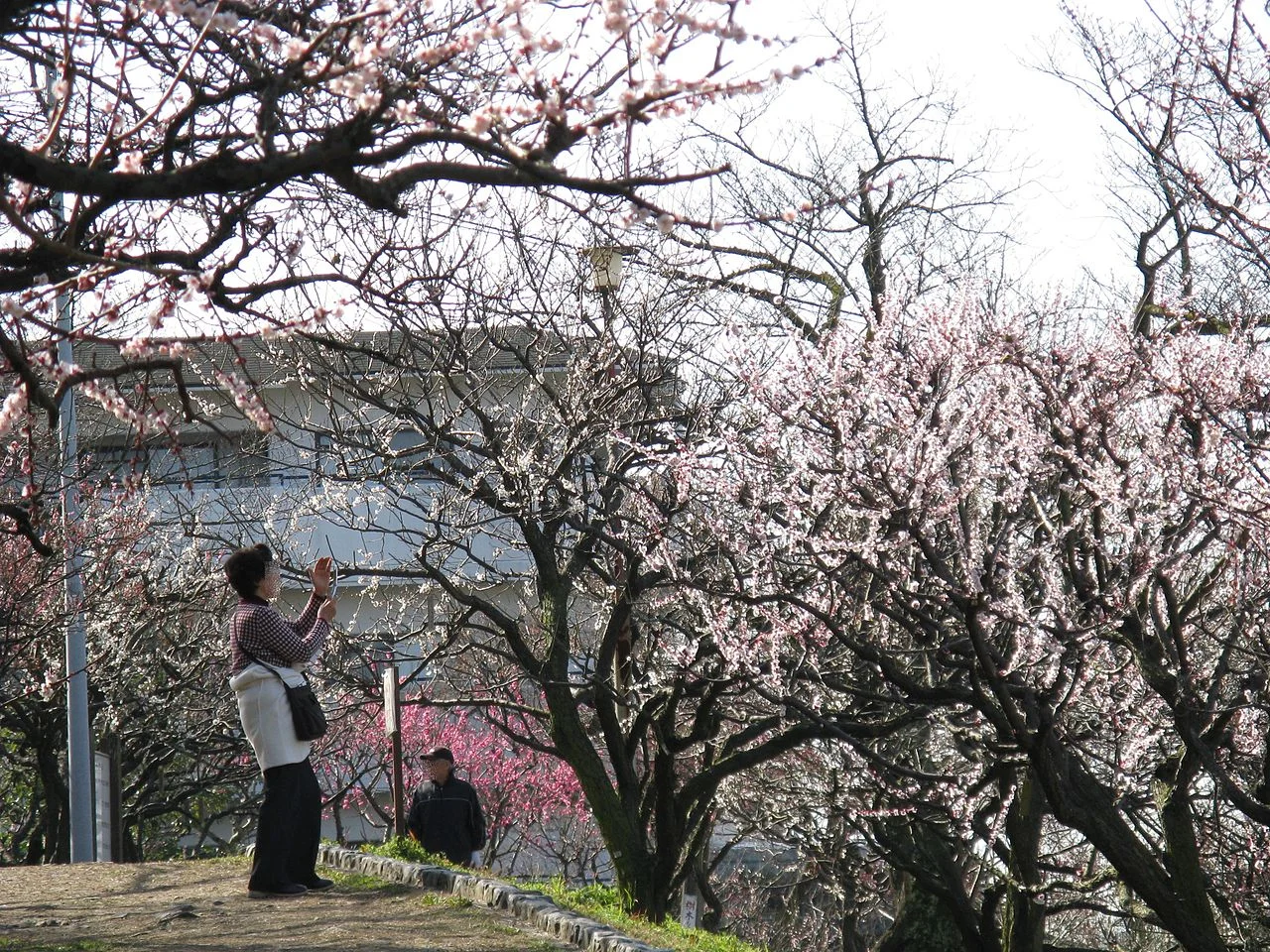 Photo of Higashiosaka